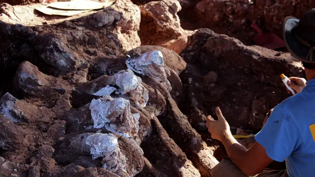 Fosil Dinosaurus Raksasa di Argentina