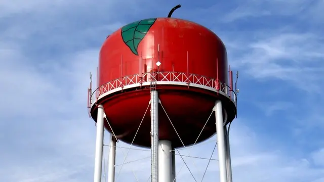 Tower Bentuk Makanan Paling Unik di Dunia (sumber: roadsideamerica)