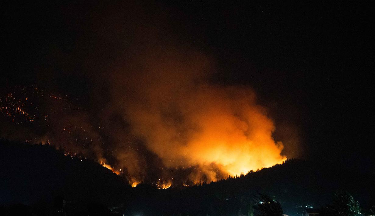 Kebakaran kali ini menambah daftar panjang bencana lingkungan yang melanda kawasan tersebut. Tampak dalam foto, kobaran api menghanguskan kawasan hutan di Gunung Pirque, El Hoyo, wilayah Patagonia provinsi Chubut, Argentina pada 7 Januari 2026. (Martin LEVICOY/AFP)