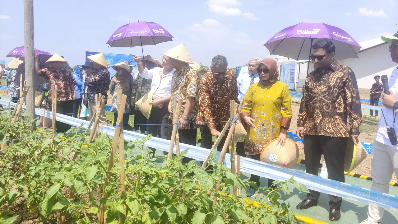Bayer Regional Asia Pasific, Srinath Bala, Deputi Bidang Koordinasi Pangan dan Agribisnis Menko Perekonomian, Musdhalifah Machmud, dan Presiden Direktur Bayer Indonesia, Kinshuk Kunwar meninjau Juwiring Agriculture Research and Academy, Juwiring, Klaten,