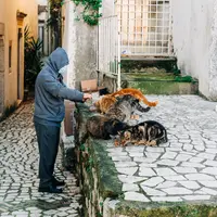 Ilustrasi/Copyright unsplash/Gabriella Clare Marino