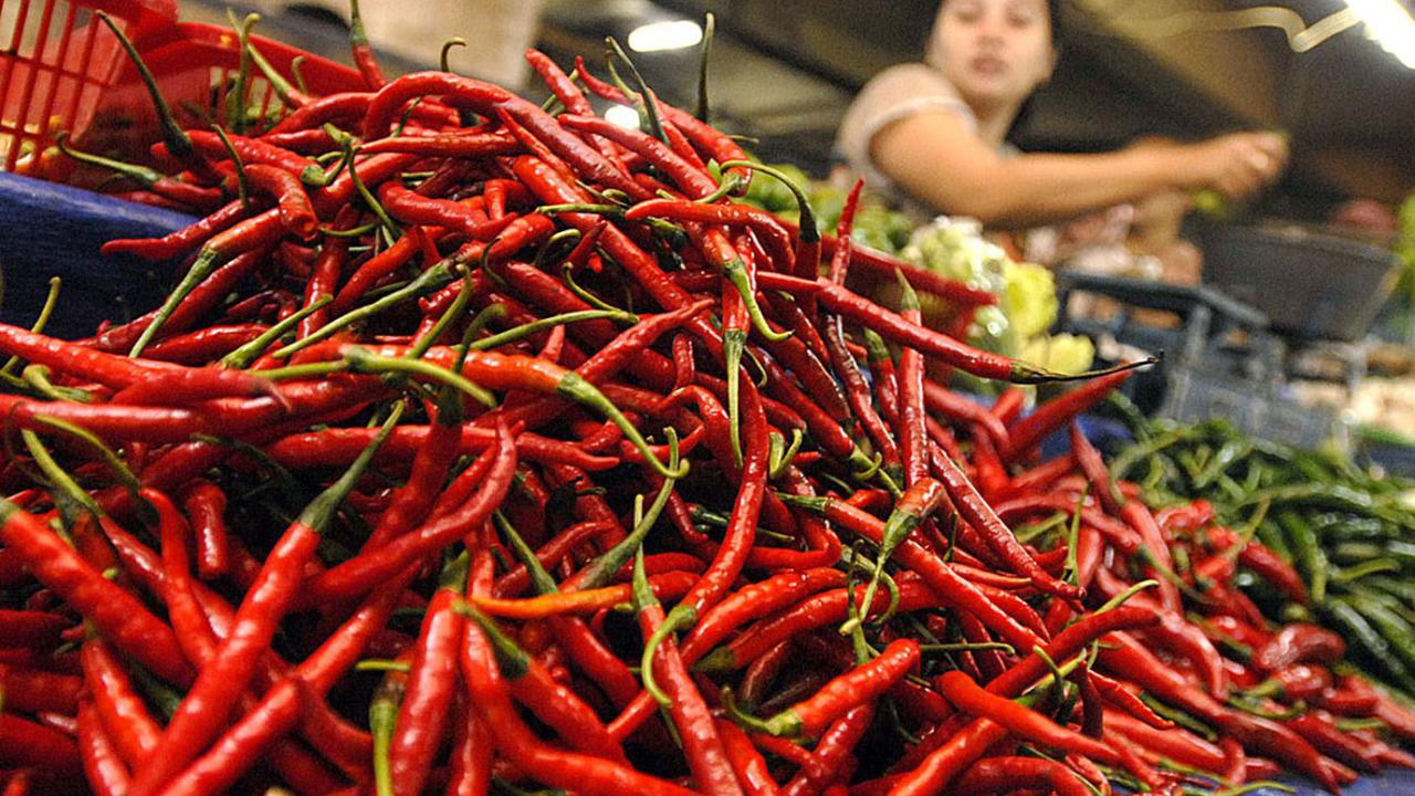 Ngeri, Harga Cabai Setara Daging Sapi