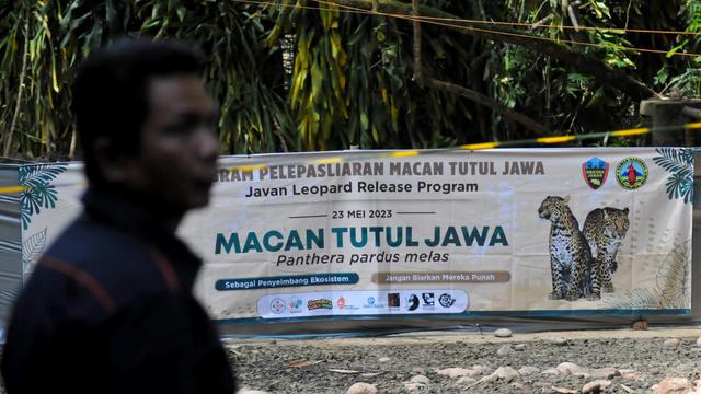 Satwa Liar Hidup Dan Berkembang Bebas. (Rabu, 24/05/2023). (Istimewa).