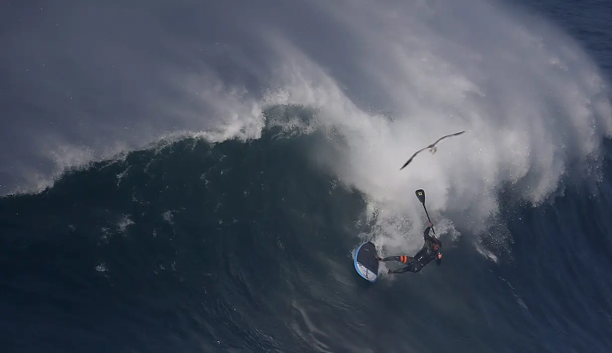 Aksi pesalancar Kealii Mamala menaklukan ombak di Praia do Norte, Nazare, Portugal, (13/11). Nazare Canyon memiliki kedalaman lebih dari 3 mil di bawah permukaan sehingga mampu menaikkan gelombang setinggi 100 sampai 150 kaki. (REUTERS/Rafael Marchante)