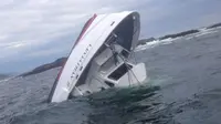 Perahu Tur  Paus Tenggelam di Kanada, 5 Tewas
