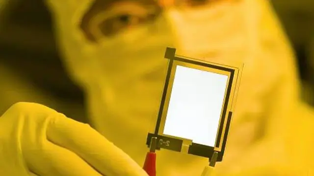Light-Emitting Polymers