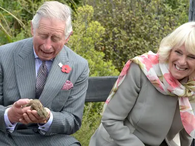 Pangeran Charles dan Istri keduanya Camilla tertawa setelah kadal Tuatara ditangannya ingin melepaskan diri  di Dunedin, Selandia Baru, Kamis (5/11/2015). Kadal Tuatara merupakan binatang sejenis reptil dari Selandia Baru. (REUTERS/Gerard O'Brien) 