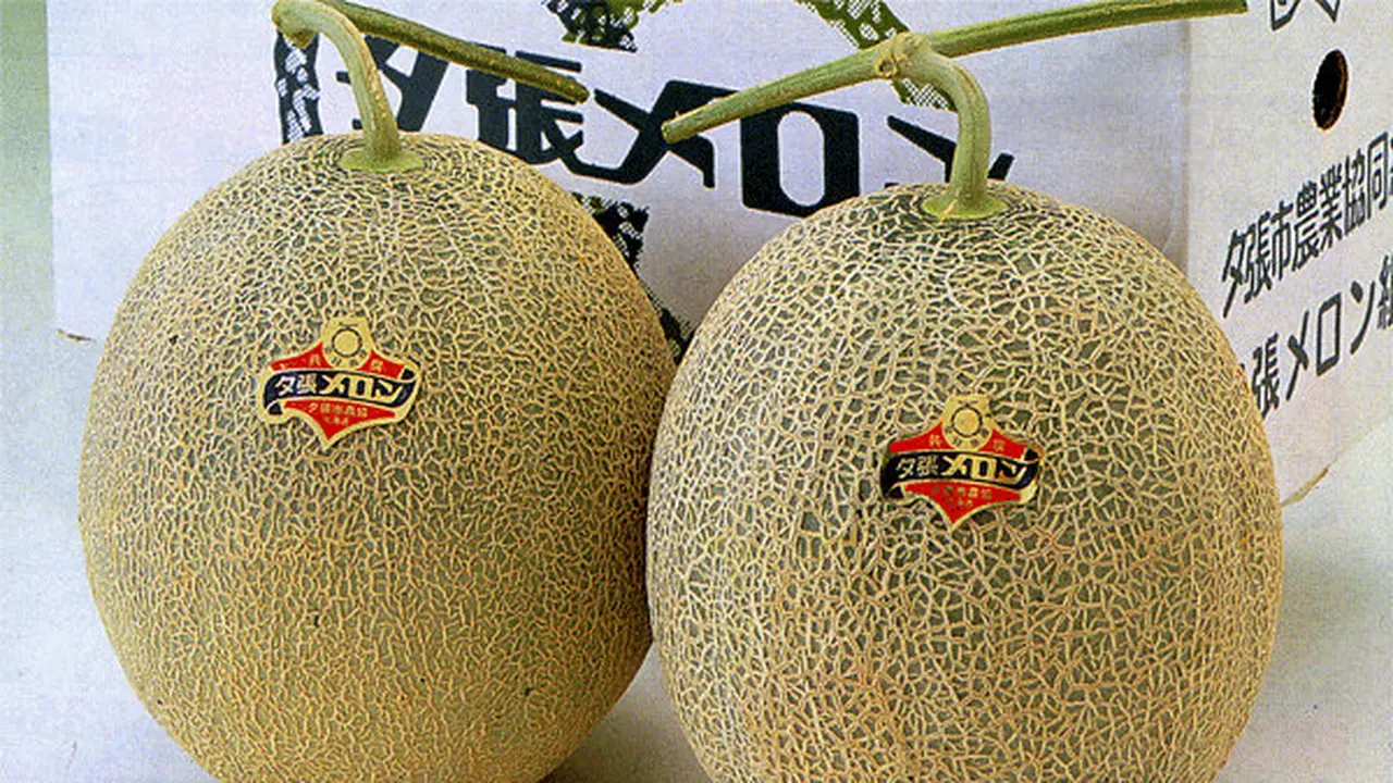 Sepasang Melon Terjual dengan Harga Rp 250 Juta!