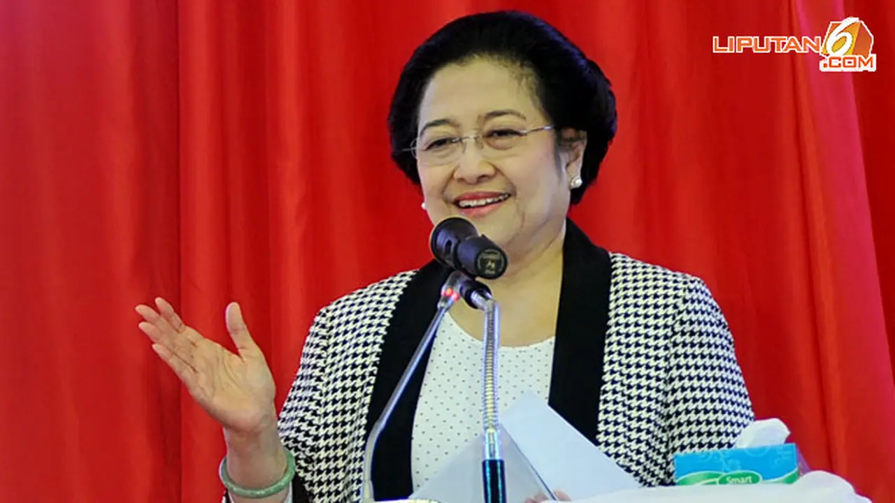 megawati-pdi130327b.jpg