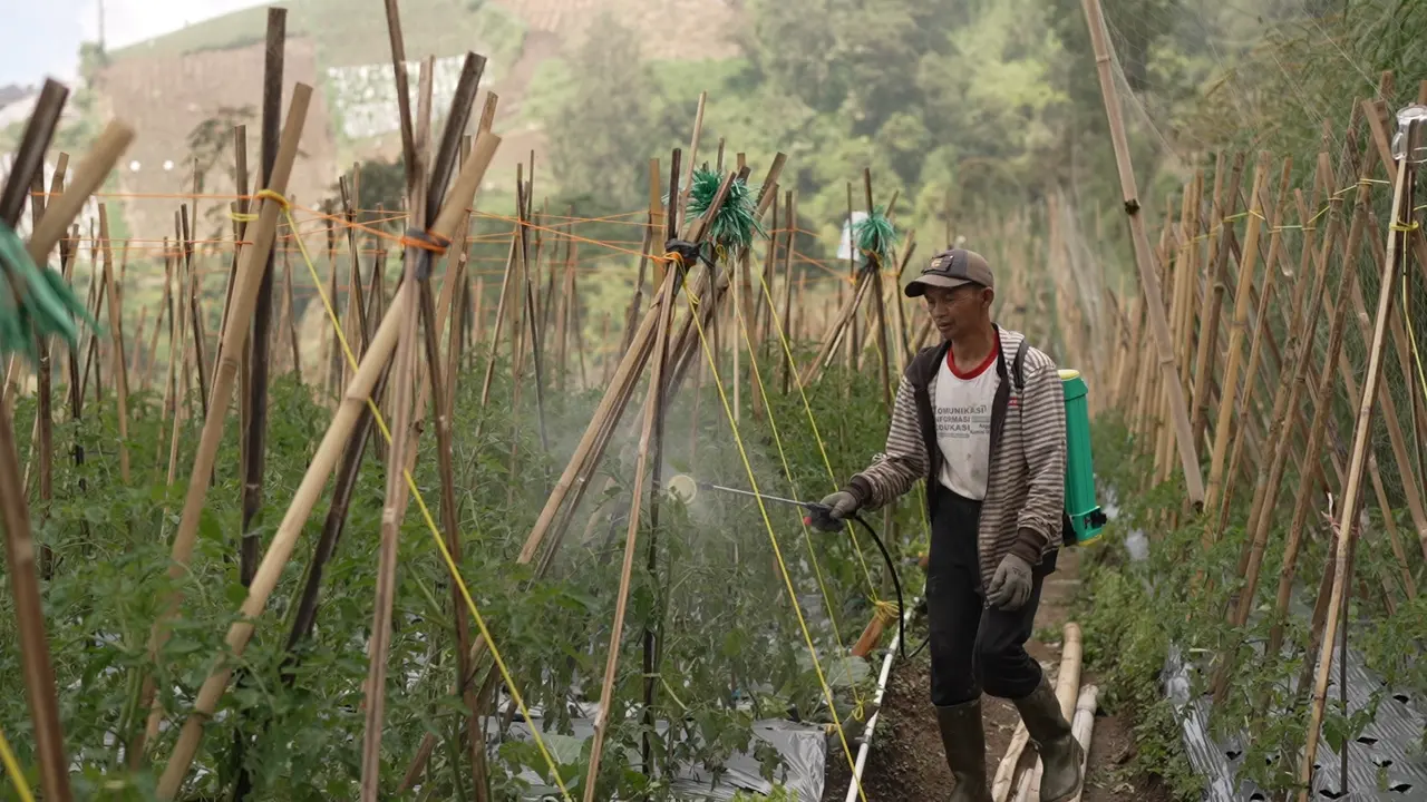 Petani Terkena Dampak Keberadaan MBG