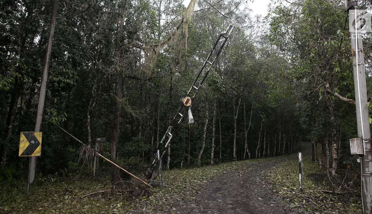 Akses jalan menuju Dusun Sogra yang dipenuhi pohon tumbang dan abu vulkanik di Desa Sebudi, Karangasem, Bali, Minggu (3/12). (Liputan6.com/Immanuel Antonius)