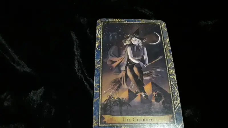 The Chariot, kartu yang terbuka dalam Tarot Hari Ini edisi Minggu, 12 Agustus 2018.