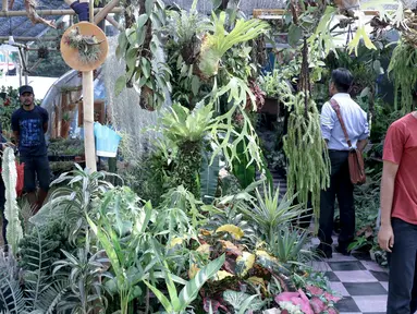 Pengunjung melihat-lihat tanaman yang dijual dalam pameran Flora dan Fauna 2018 di Taman Lapangan Banteng, Jakarta, Selasa (21/7). Pameran berlangsung mulai 10 Agustus hingga 10 September 2018. (Liputan6.com/Immanuel Antonius)