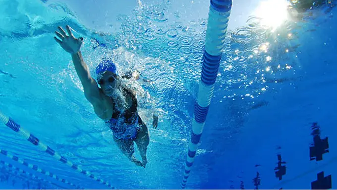 Copyright by Shutterstock.com