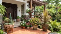 12 Tanaman Pot yang Tahan Panas di Depan Rumah, Paling Cantik dan Tangguh