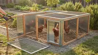 7 Ide Kandang Ayam Modular Mudah Diperluas Saat Jumlah Ayam Bertambah
