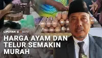 Harga Ayam dan Telur Semakin Murah
