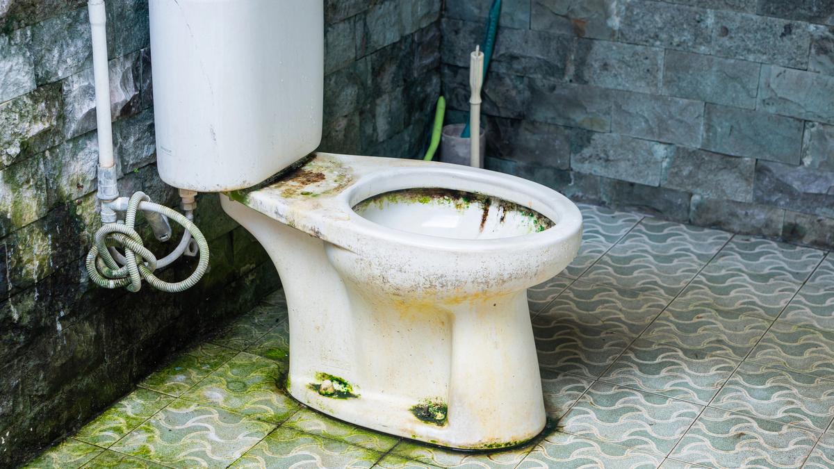 Hilangkan Lumut di Kamar Mandi: Cara Ampuh, Bahaya Kesehatan, dan Tips Pencegahan!