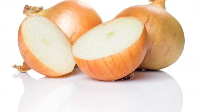 Makanan yang Kamu Konsumsi