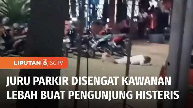 Serbuan lebah yang menyerang seorang juru parkir, hingga tak berdaya di Bumi Perkemahan Cibubur, Jakarta Timur, Minggu (04/12) siang, viral di sosial media. Pengunjung di sekitar lokasi pun tak berani menolong korban, karena takut tersengat.