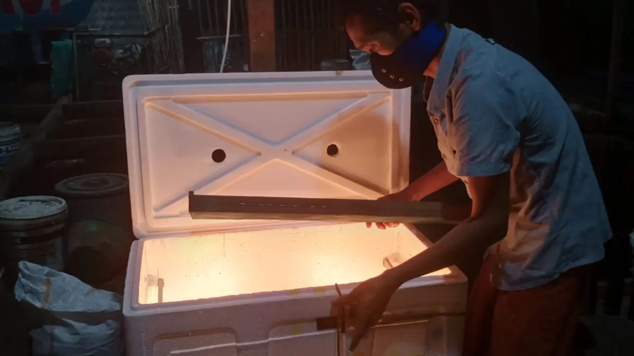 Penetasan telur dari boks sterofoam bekas. (Foto: Liputan6.com/Aceng Mukaram)