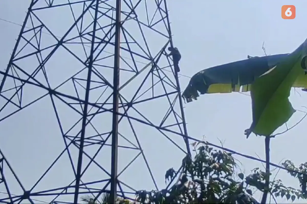 Seorang pria parih baya nekad panjat tower sutet di Kabupaten Sukabumi, mengalami depresi setelah perceraian (Liputan6.com/Istimewa).