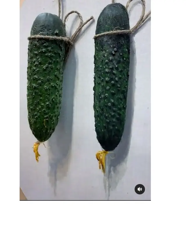 Seniman Ini Buat Tipuan Ilusi Optik Gambar Buah dan Sayur, 6 Hasilnya Tampak Nyata