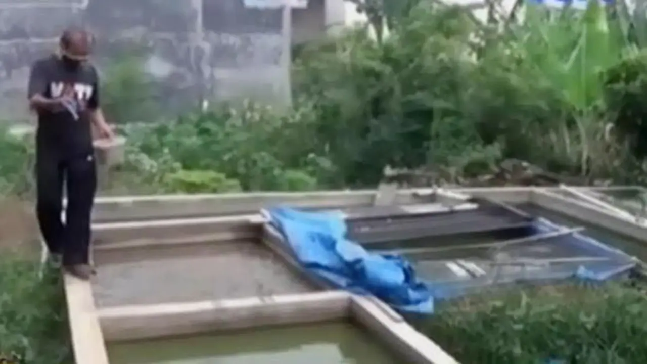 Petani Lele Terancam Gulung Tikar Akibat Kabut Asap 