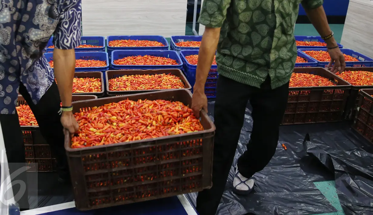 Petugas membawa barang bukti dalam rilis pengungkapan kasus penimbunan cabai di kantor Bareskrim Polri, Jakarta, Jumat (3/3). Dirtipideksus Polri meringkus dua orang pengepul cabai rawit merah inisial SJN dan SNO. (Liputan6.com/Angga Yuniar)