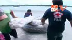 liputan6