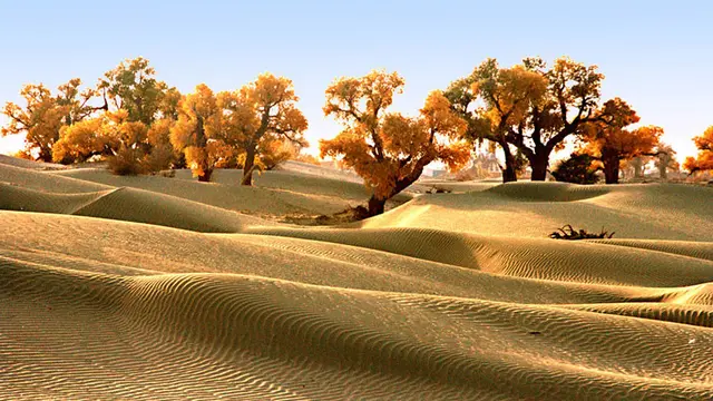 Selain Sahara, Ini Potret 10 Gurun Pasir yang Paling Menarik di Dunia