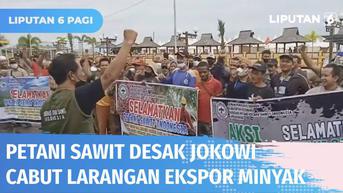 VIDEO: Petani Sawit di Kotabaru Berdemo, Menuntut Jokowi Cabut Larangan Ekspor Minyak Goreng