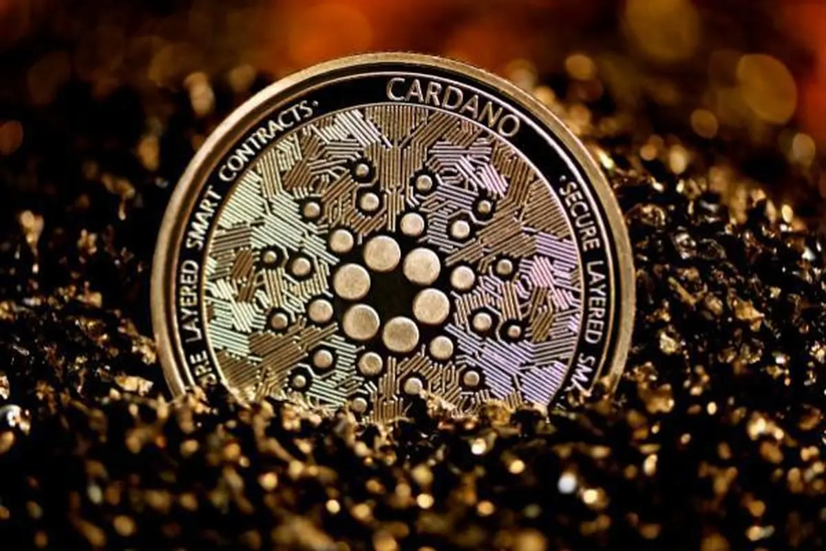 Cardano. AFP