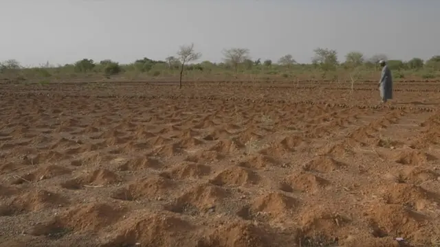 [Bintang] Afrika Hijau