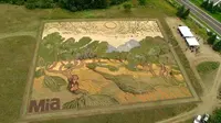 Lukisan tanaman yang terletak di lapangan Minneapolis, Amerika Serikat (AS) ini merupakan replika dari lukisan "pohon zaitun" karya Van Gogh