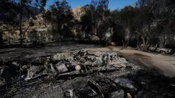 Sejumlah kendaraan dan sebuah rumah mobil dibiarkan hangus akibat Kebakaran Dataran Tinggi di Aguanga, California, Amerika Serikat, Selasa, 31 Oktober 2023. (AP Photo/Marcio Jose Sanchez)