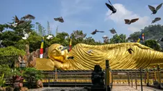 Sejumlah burung merpati terbang di samping patung Buddha raksasa di Maha Vihara Mojopahit, Mojokerto, Jawa Timur, pada tanggal 15 Mei 2024. (JUNI KRISWANTO/AFP)