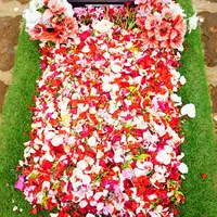 Makam Olga Syahputra. (Syaiful Bahri/Bintang.com)