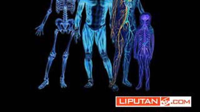 11 Rahasia Tubuh Manusia Health Liputan6 Com