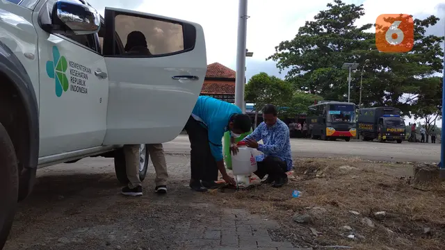 Penyemprotan