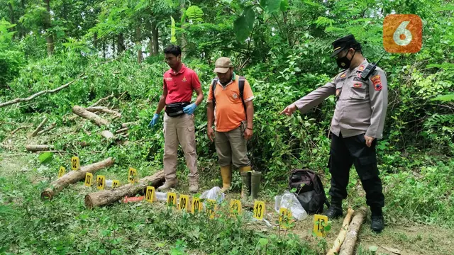 Polisi saat olah TKP di hutan petak 5088 a Magersaren, BKPH Nglebur, Kecamatan Jiken, Kabupaten Blora, Jawa Tengah. (Liputan6.com/Ahmad Adirin)