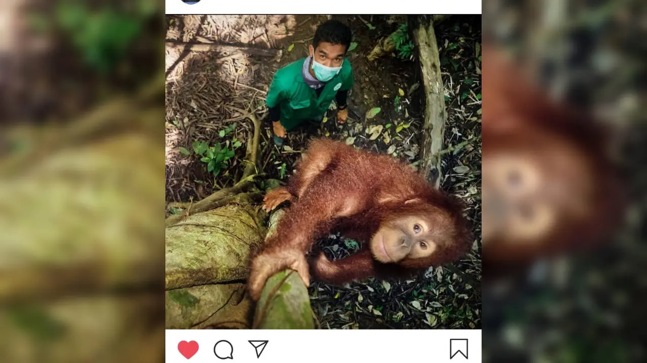 Postingan LeonardoDicaprio di Instagram