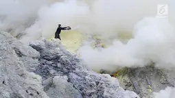 Penambag menyiram api biru dengan air karena api biru membakar blerang di Kawah Ijen, Banyuwangi, Jawa Timur, Senin (2/7). Para penambang mulai mengangkut belerang pada pukul 01.00 dinihari dengan jarak jarak 10 km bolak balik. (Merdeka.com/Arie Basuki)