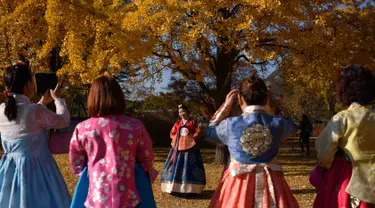 Pengunjung yang mengenakan pakaian tradisional hanbok berpose untuk foto di bawah pohon ginkgo di istana Gyeongbokgung di Seoul (31/10). Pohon Ginkgo yang berasal dari Tiongkok ini dikenal sebagai pohon rambut gadis. (AFP Photo/Ed Jones)