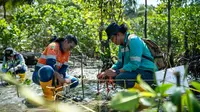 Sistem Canggih Harita Nickel Jaga Sumber Air Warga di Halmahera