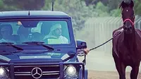 Di Dubai, Latih Kuda Balap Pakai Mercy