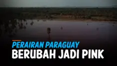 THUMBNAIL polusi