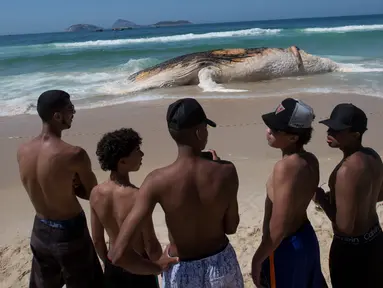 Sejumlah remaja mengamati bangkai paus bungkuk di tepi pantai Ipanema, Rio de Janeiro, Brasil, Rabu (15/11). Paus tersebut memiliki panjang sekitar 12 meter dan berat 25 ton atau 25 ribu kilogram. (AP/Silvia Izquierdo)