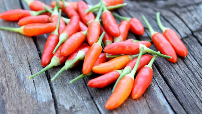 Foto: copyright thinkstockphotos.com