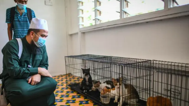 Ustad Ebit Lew dan Kucing-Kucing